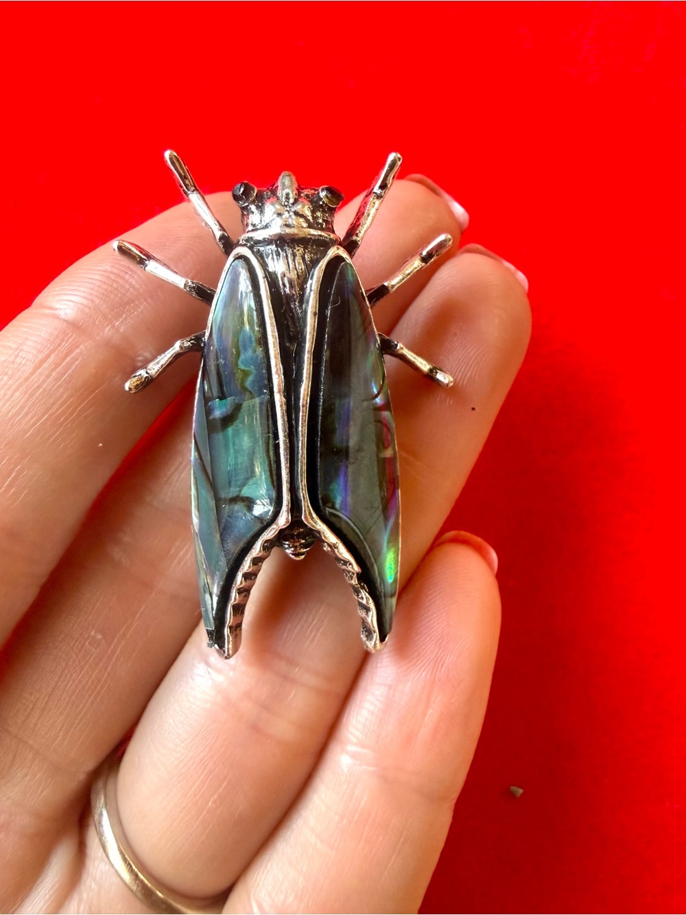 Anthropologie Iridescent Abalone Beetle Brooch in Green/Blue